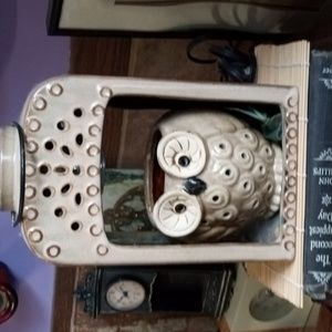 Owl lantern